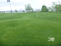 그린