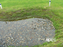 해저드